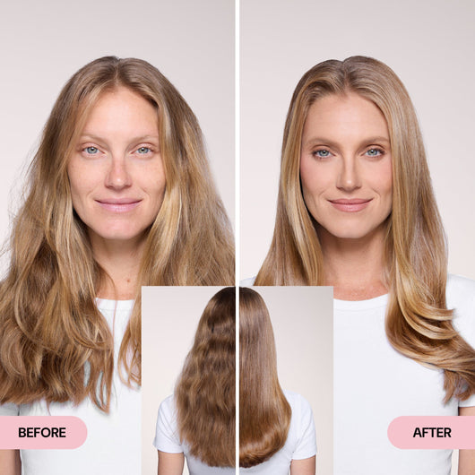 The Welcome Bundle